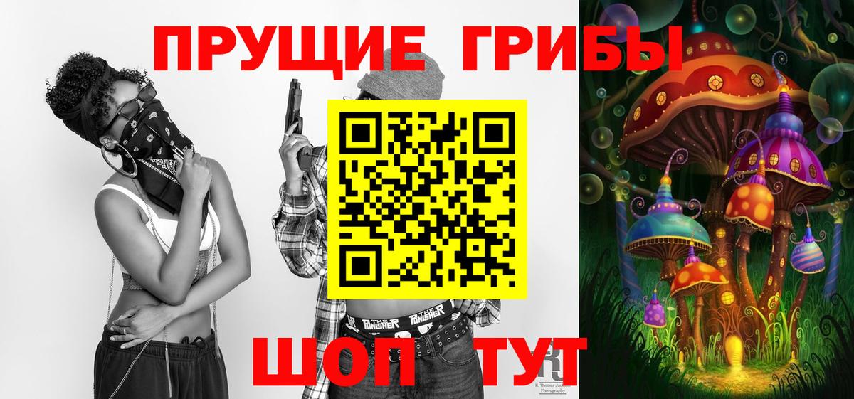 Псилоцибиновые грибы Psilocybe  Вход с VPN  Каспийск 